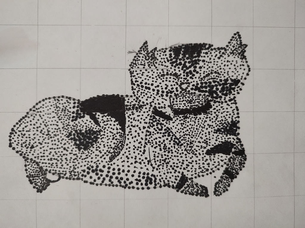 Picture of a cat done in the pointilism style.