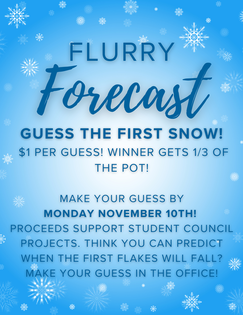 flurry forecast information
