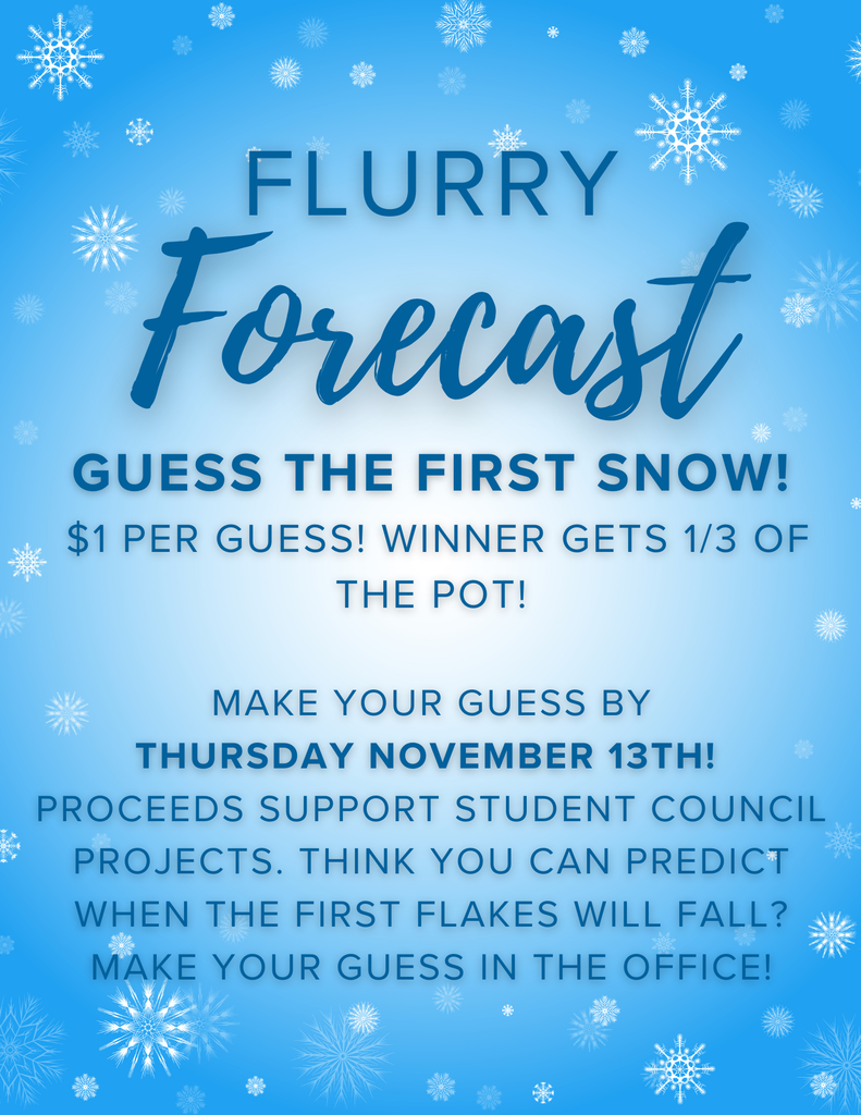 Flurry Forecast