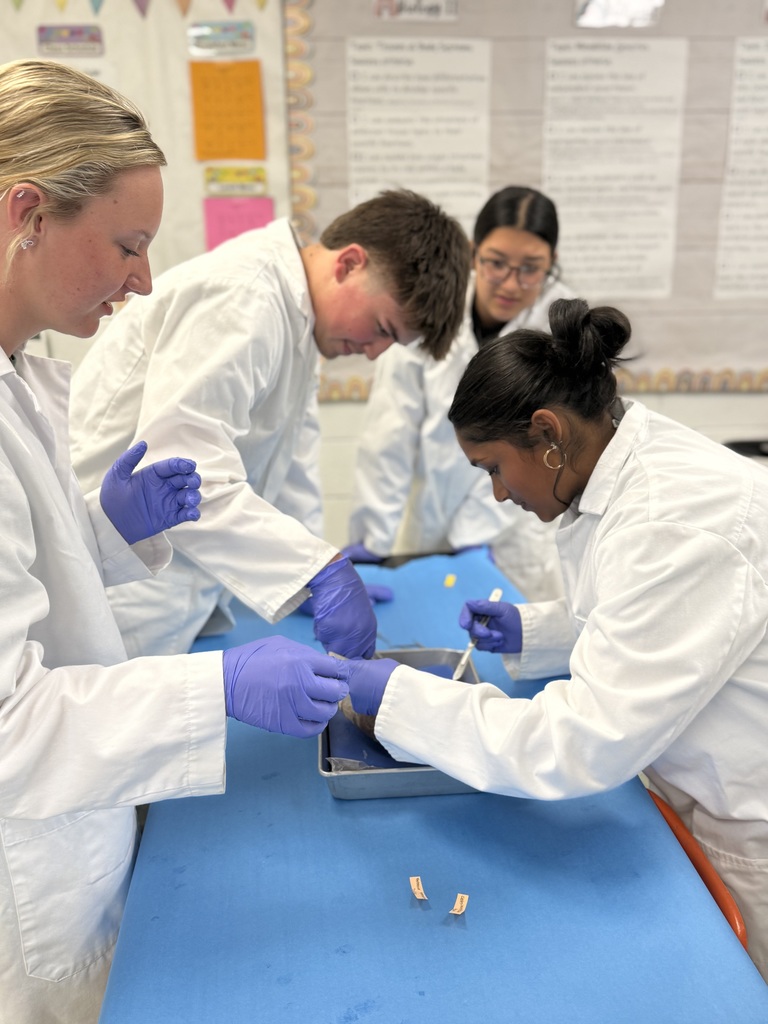 Burlington High School- Bovine Heart Dissection Lab #1