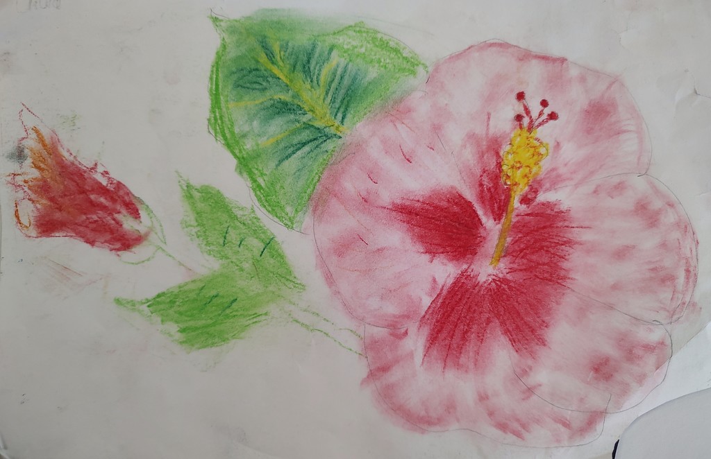 Picture of a flower