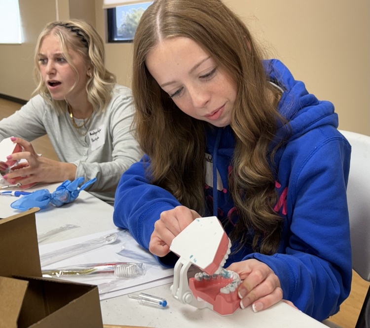 students learning about dental health
