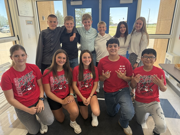 Bms stuco
