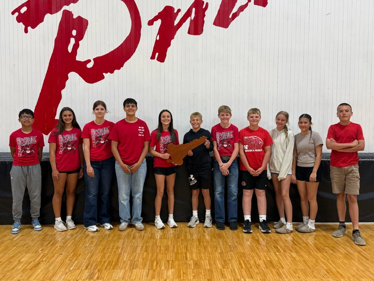 bms stuco