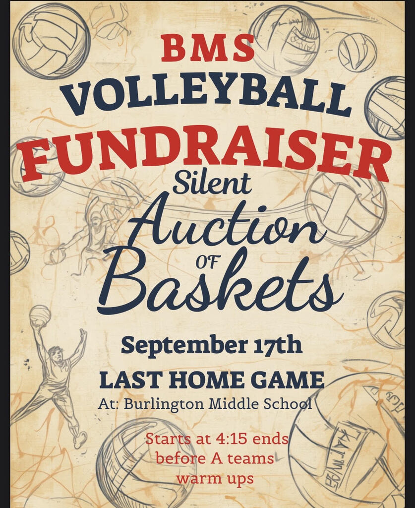 vball auction