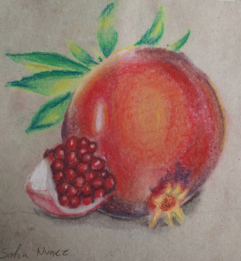 Student created picture of fruit.