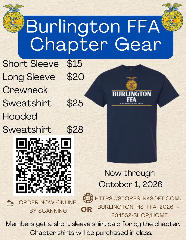 Shirt Sales