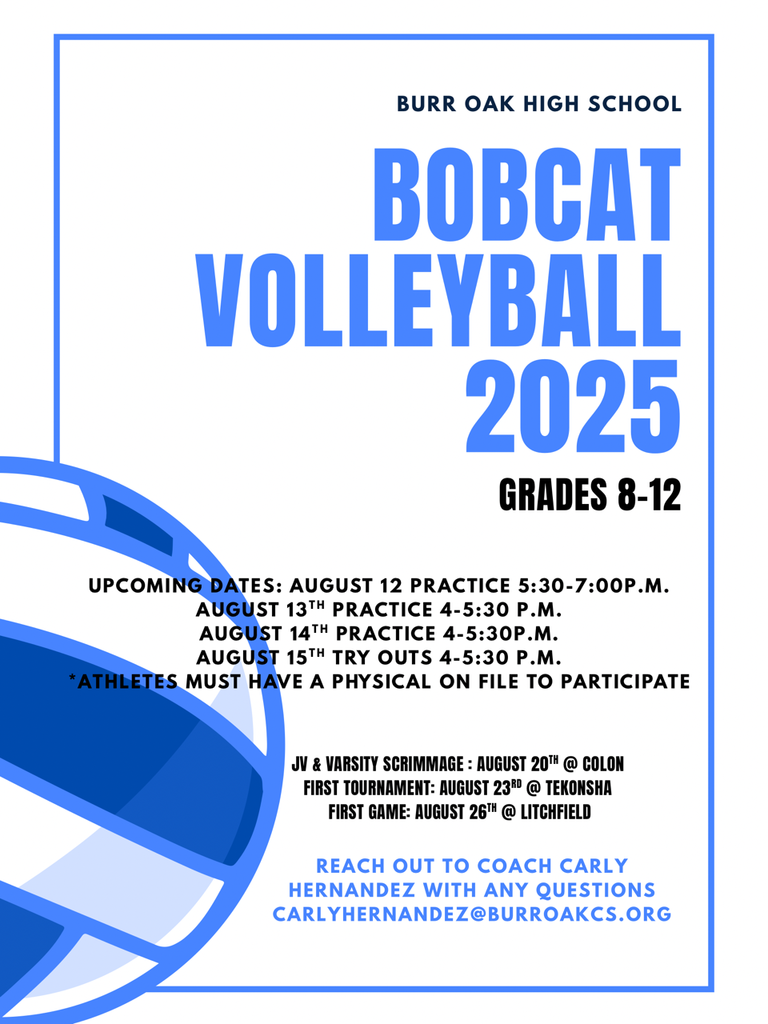 Volleyball 2025