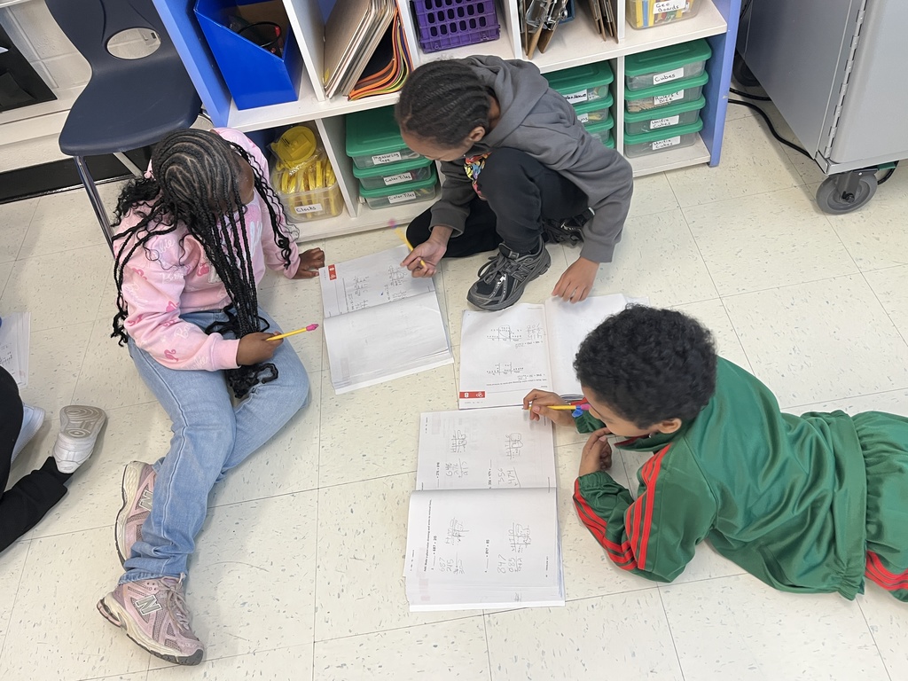 Mrs. Van Howe's 2nd Graders helping each other check their addition problems.