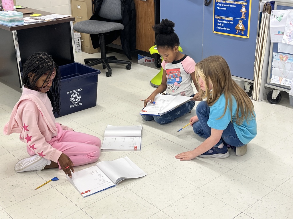 Mrs. Van Howe's 2nd Graders helping each other check their addition problems.