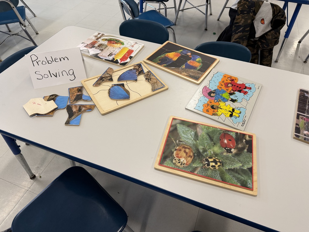 Building problem solving skills one puzzle at a time.