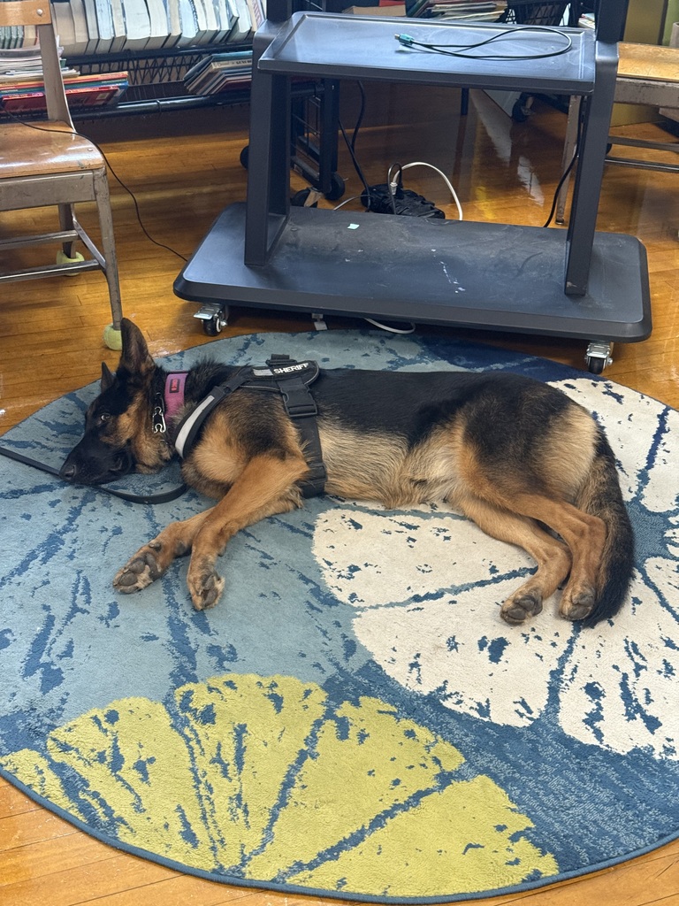 Nia sleeping