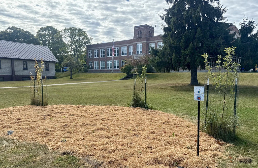 Pollinator garden