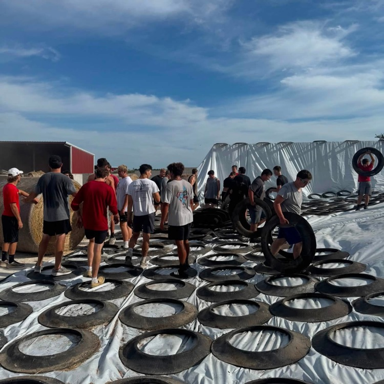 silage 2