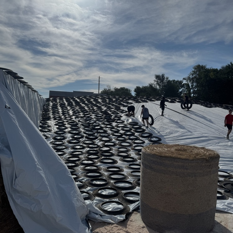 silage 3