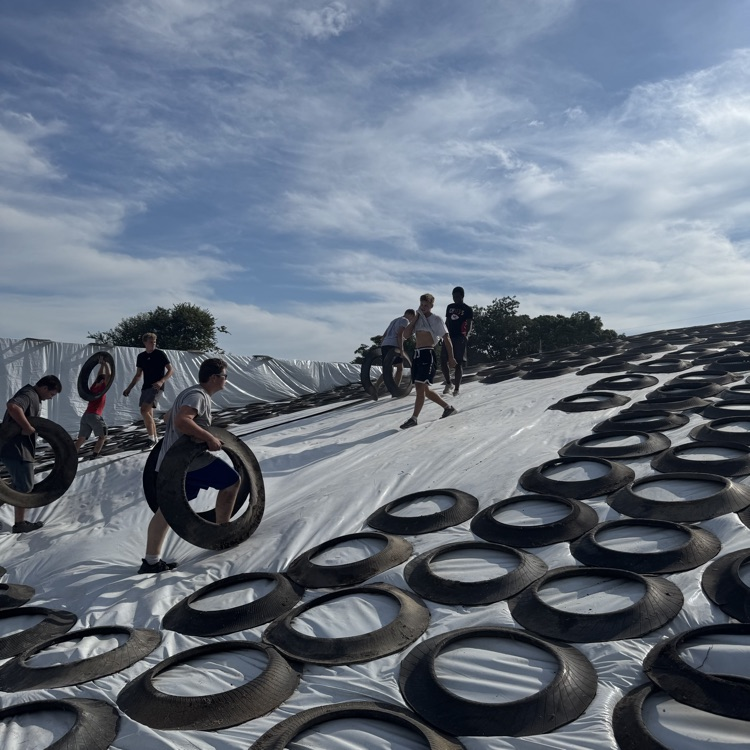 silage 5