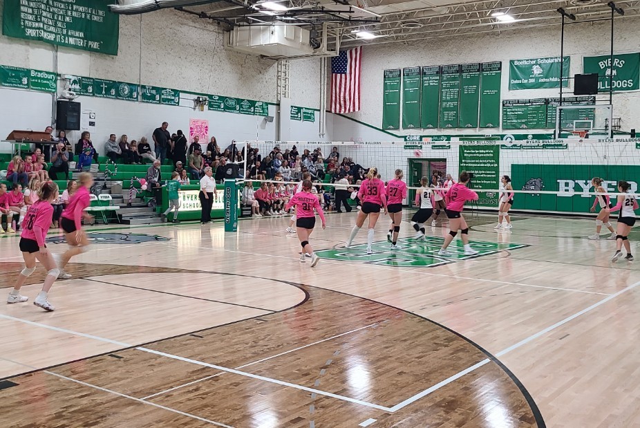 ladies volleyball in all pink