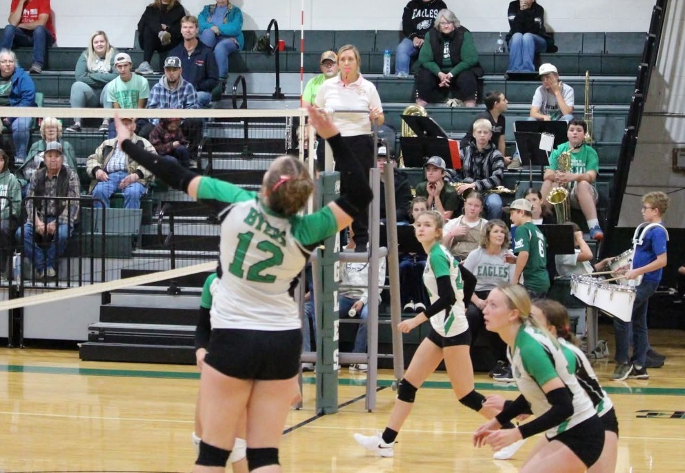 abi is hitting a volleyball