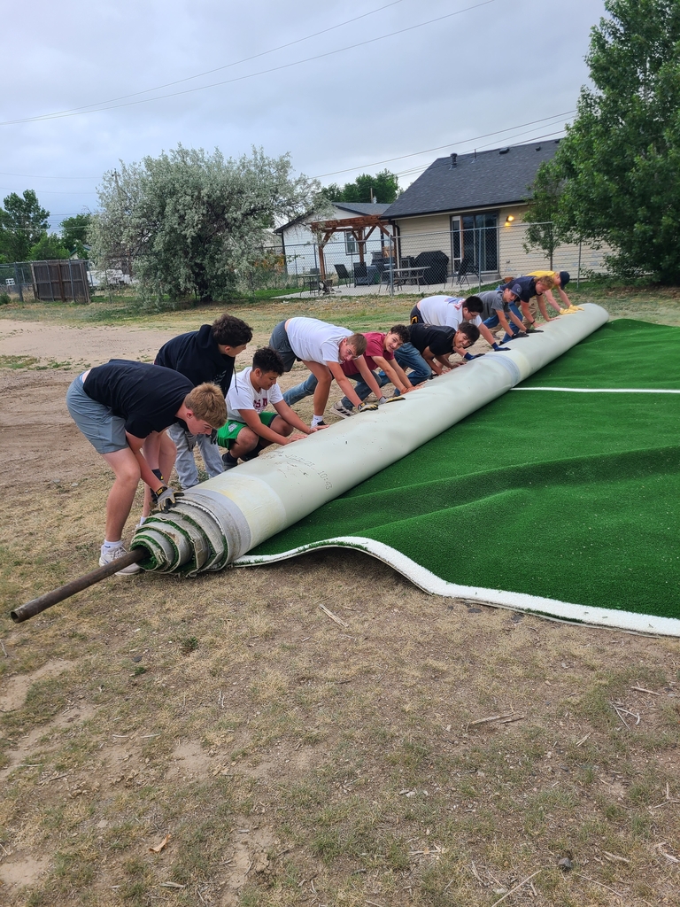 rolling the turf
