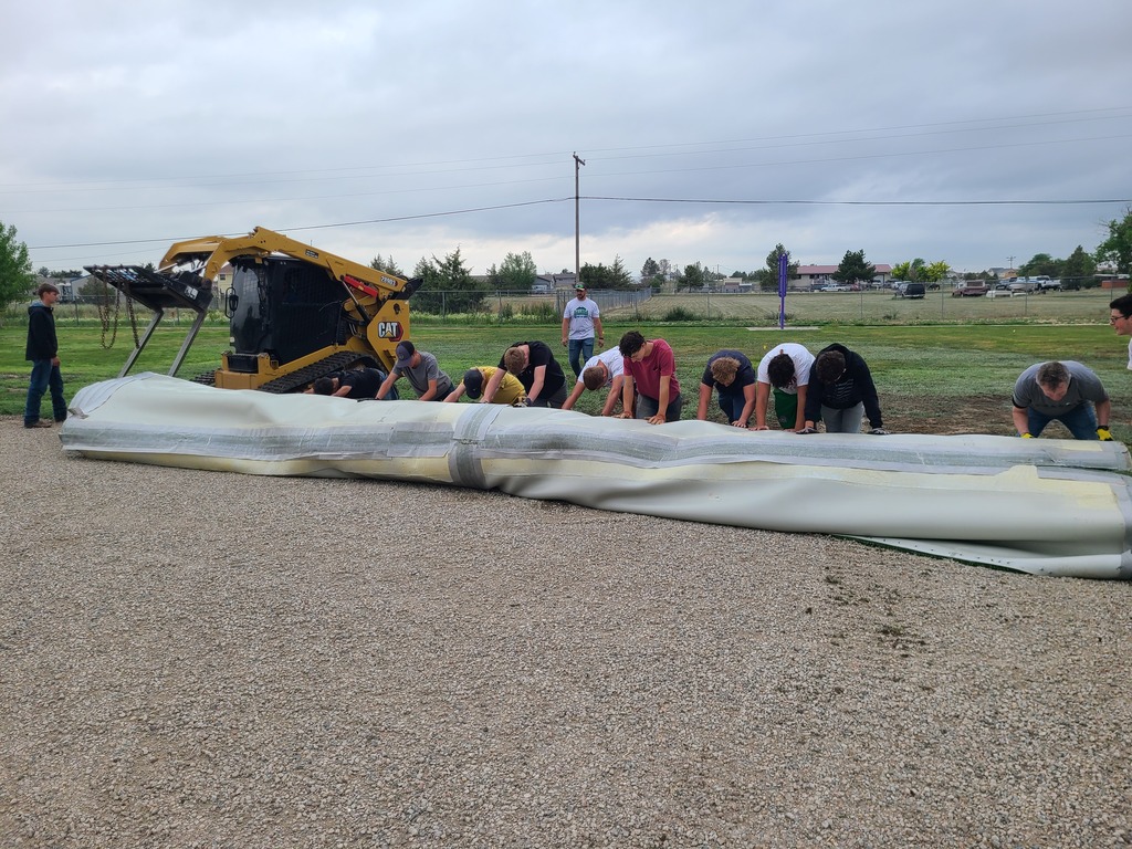 rolling the turf 2