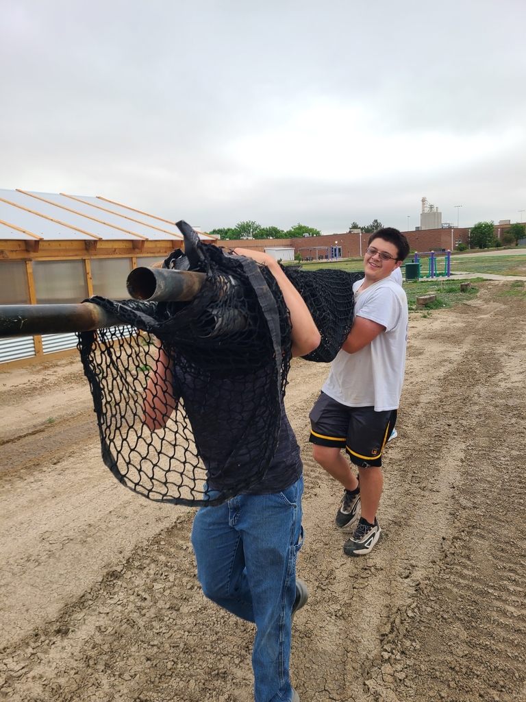 moring the discus net