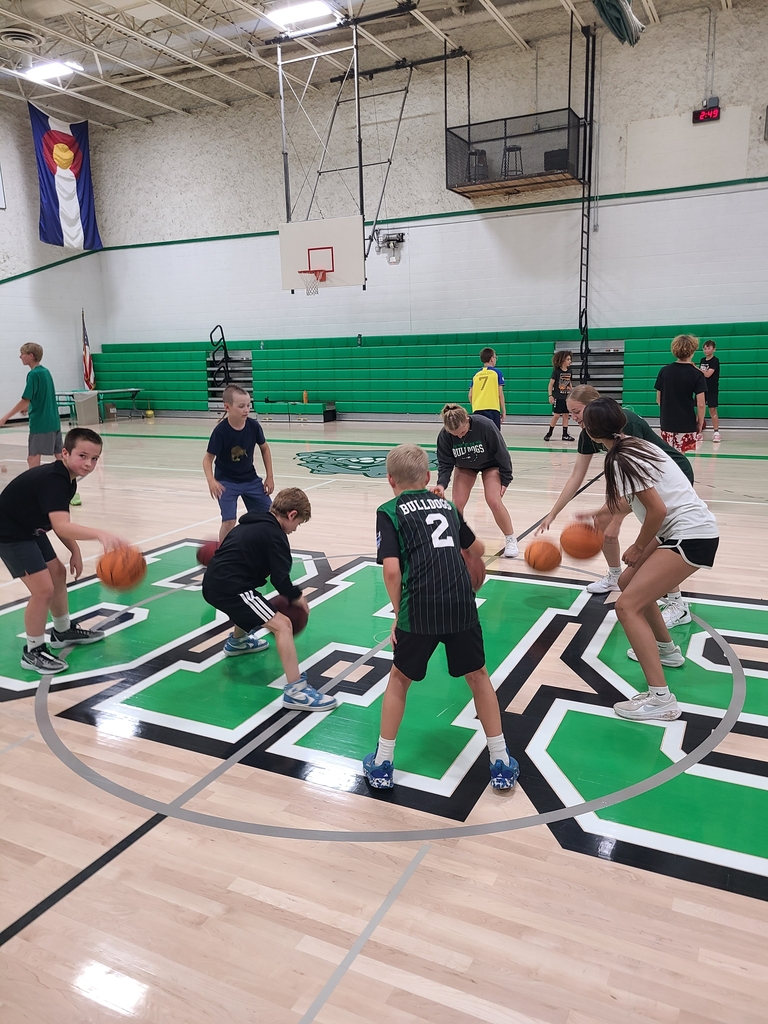Ballhandling unit