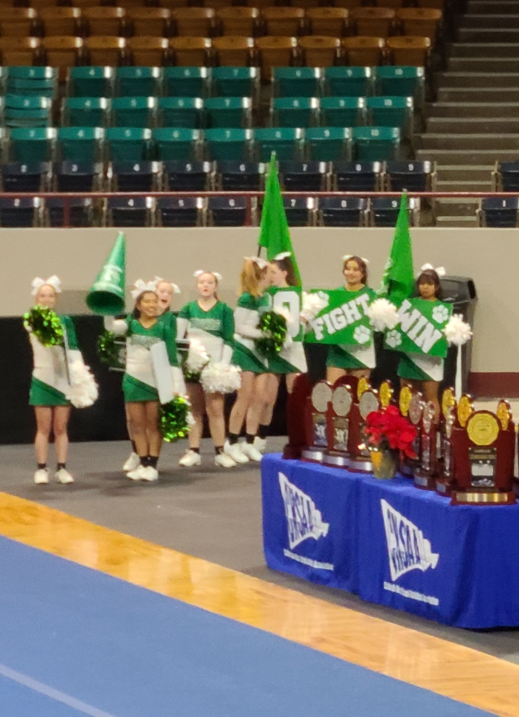 state cheer 4