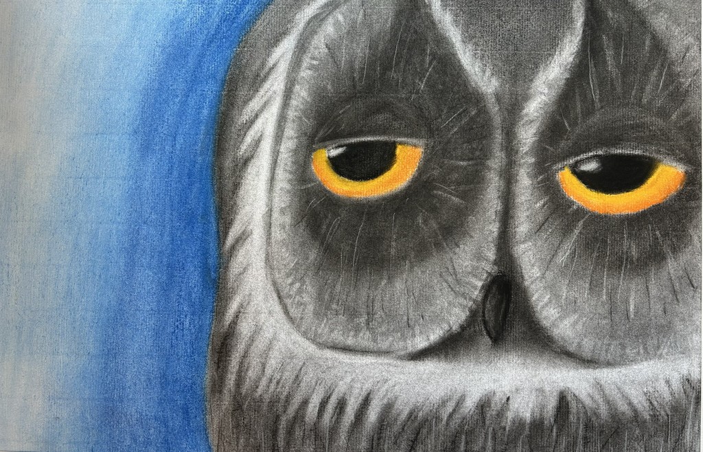 Close-up illustration of an owl’s face, rendered in grayscale with detailed feather texture. The owl’s half-closed eyes are vivid orange-yellow, creating a striking contrast against a soft blue background on the left side. The composition is tightly cropped, showing the beak and surrounding feathers, with a calm, slightly sleepy expression.