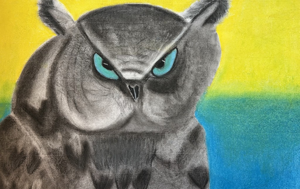 Illustration of a gray owl with sharply defined feathers and prominent ear tufts, facing forward with an intense expression. Its bright blue eyes stand out against its dark face, set against a bold, blended background that transitions from yellow at the top to green and blue below.