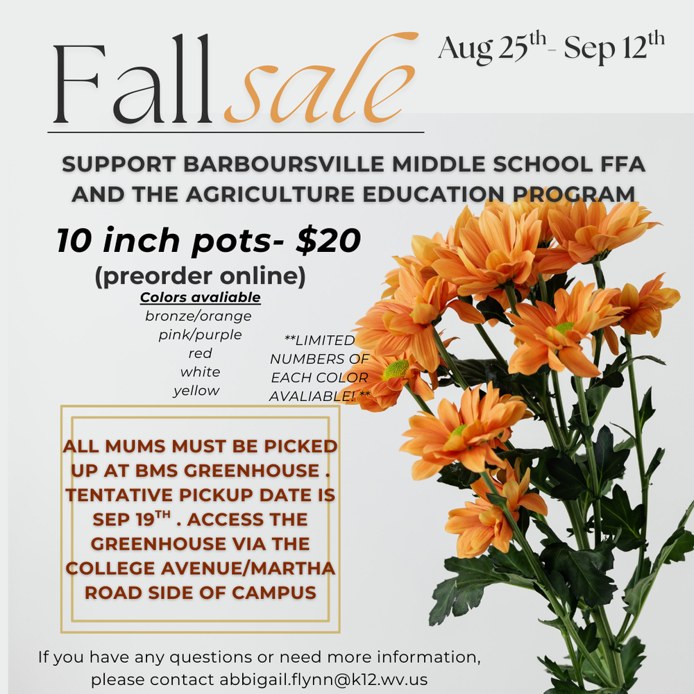 Fall Mum Sale