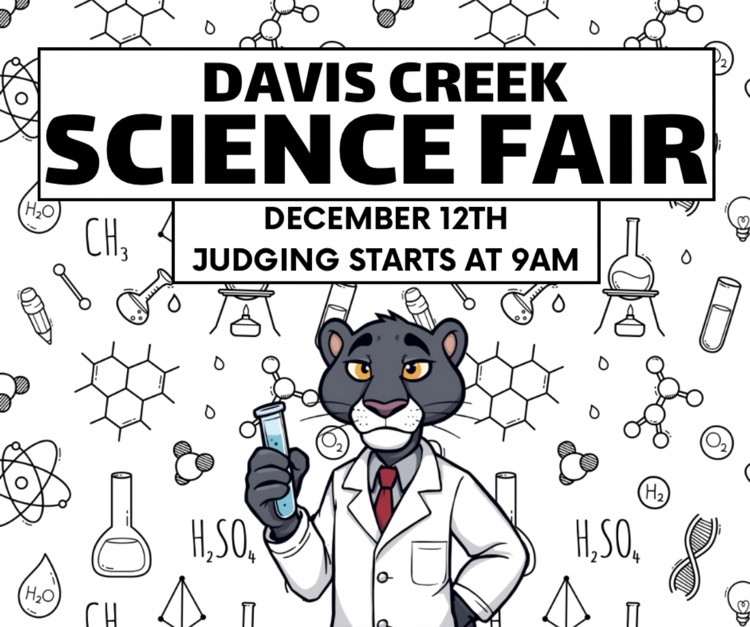 science fair