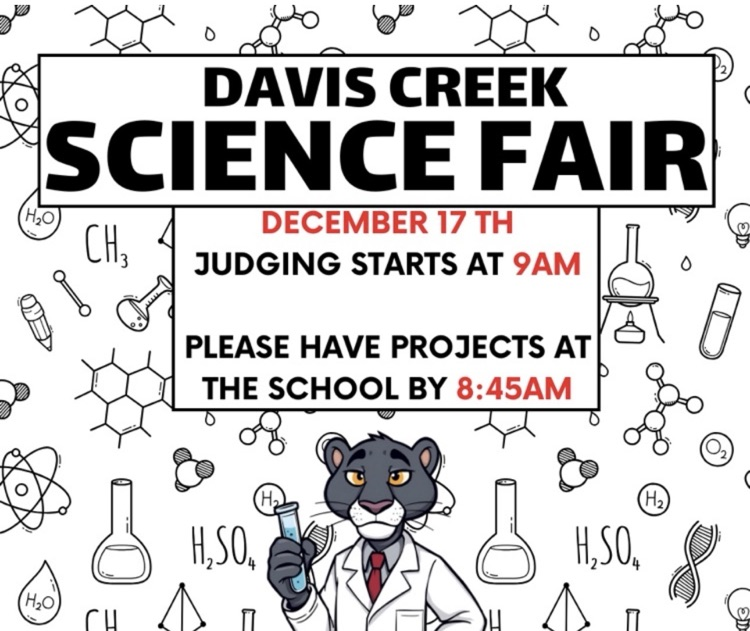science fair 
