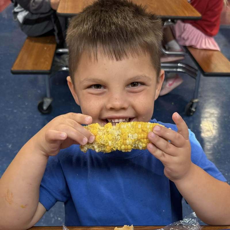 Fresh Corn from Winters Produce