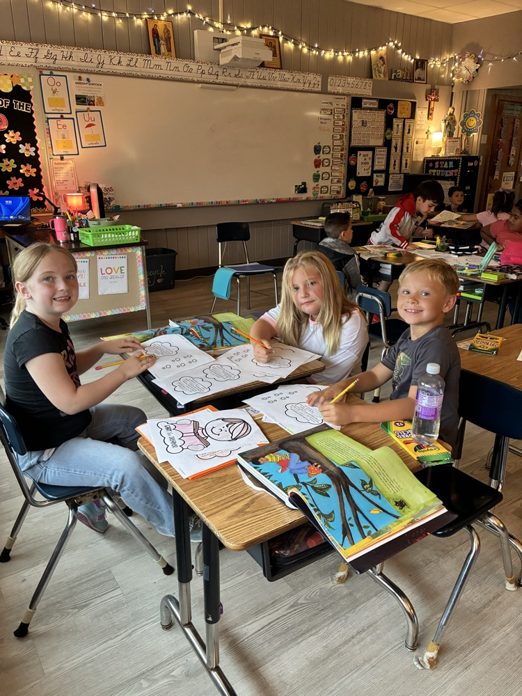 Mrs. D’s 3rd graders working hard during Reading class.