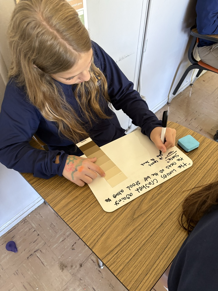 9th Grader - Sophia Maffesoli explaining why her paint sample illustrates parts of the passage.