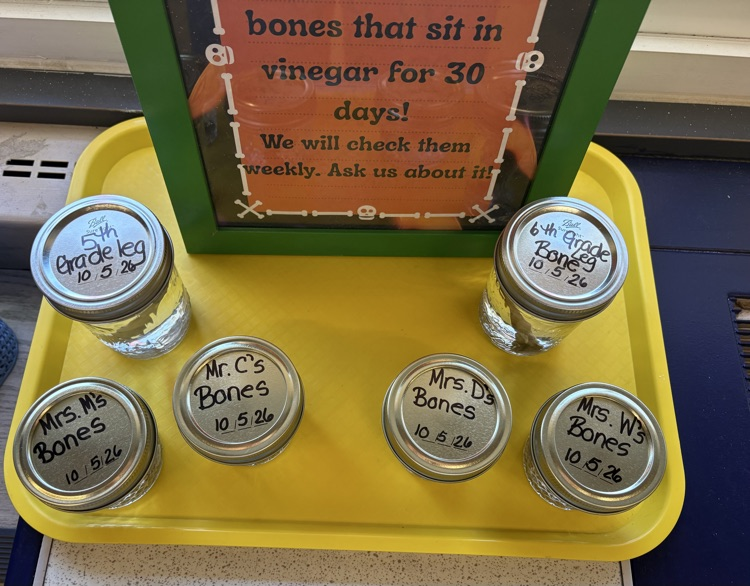 5th and 6th grade jars