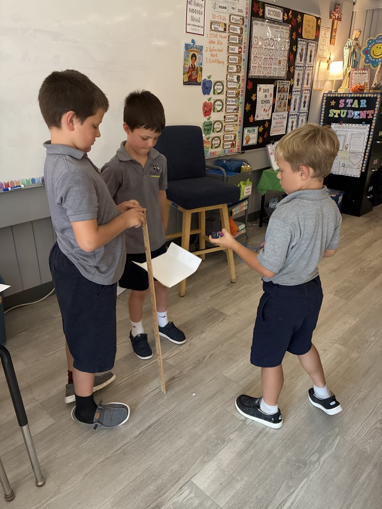 Mrs D’s 3rd grade scientists