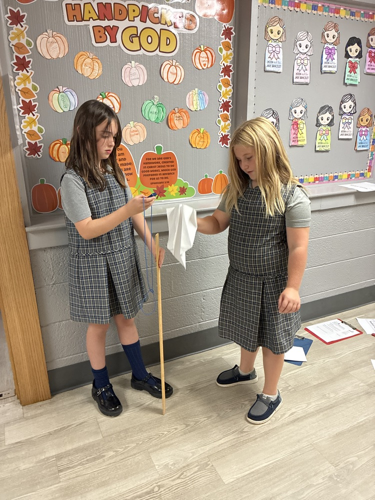 Mrs D’s 3rd grade scientists