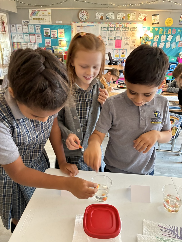Mrs D’s 3rd grade scientists