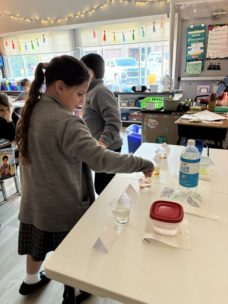 Mrs D’s 3rd grade scientists.