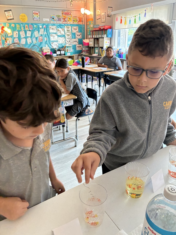 Mrs D’s 3rd grade scientists