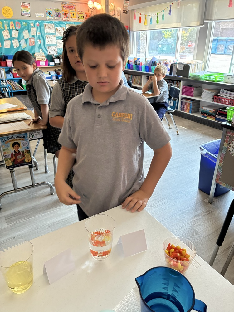 Mrs D’s 3rd grade scientists