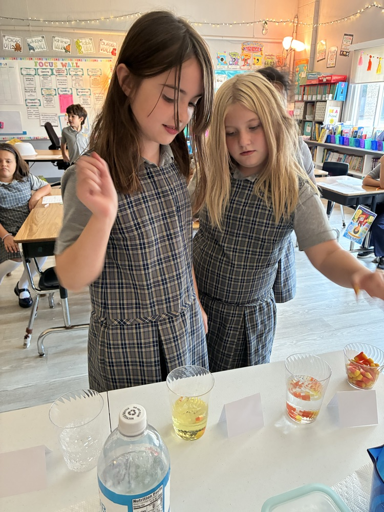 Mrs D’s 3rd grade scientists