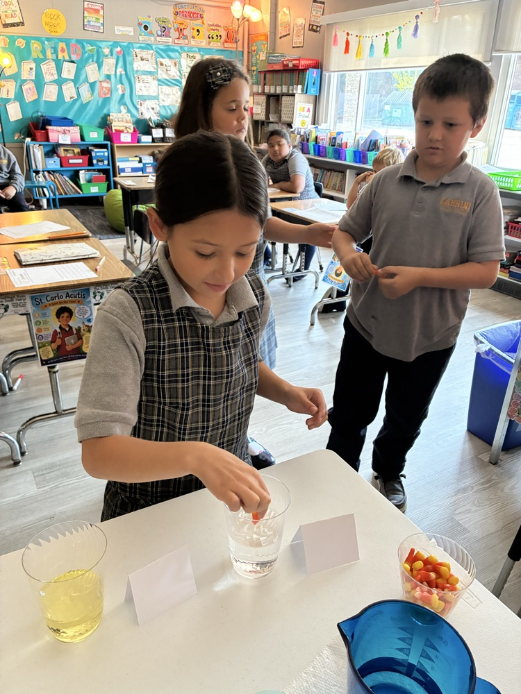 Mrs D’s 3rd grade scientists