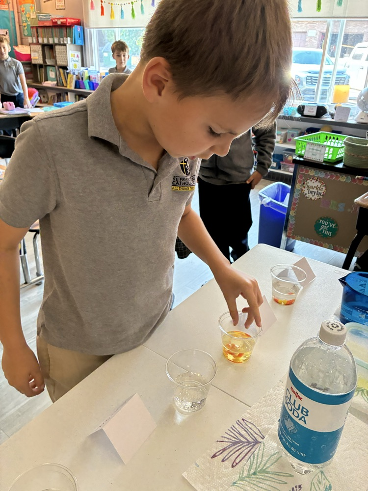 Mrs D’s 3rd grade scientists