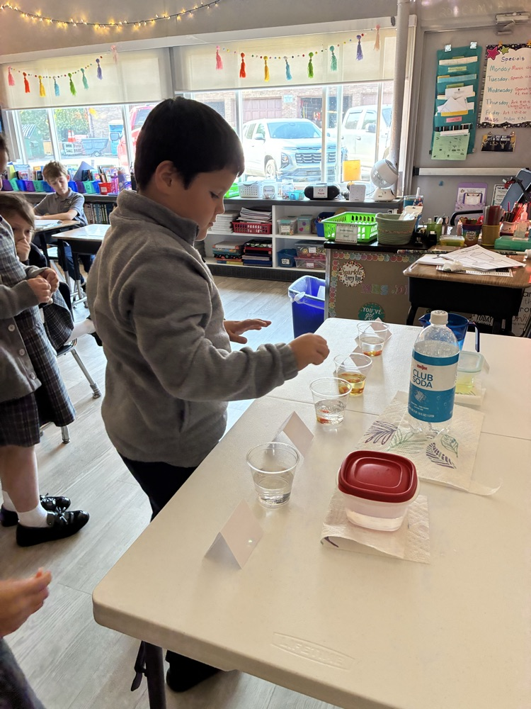 Mrs D’s 3rd grade scientists