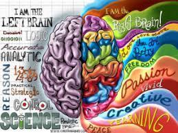 brain