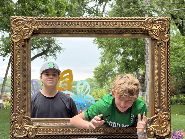 3D pictures