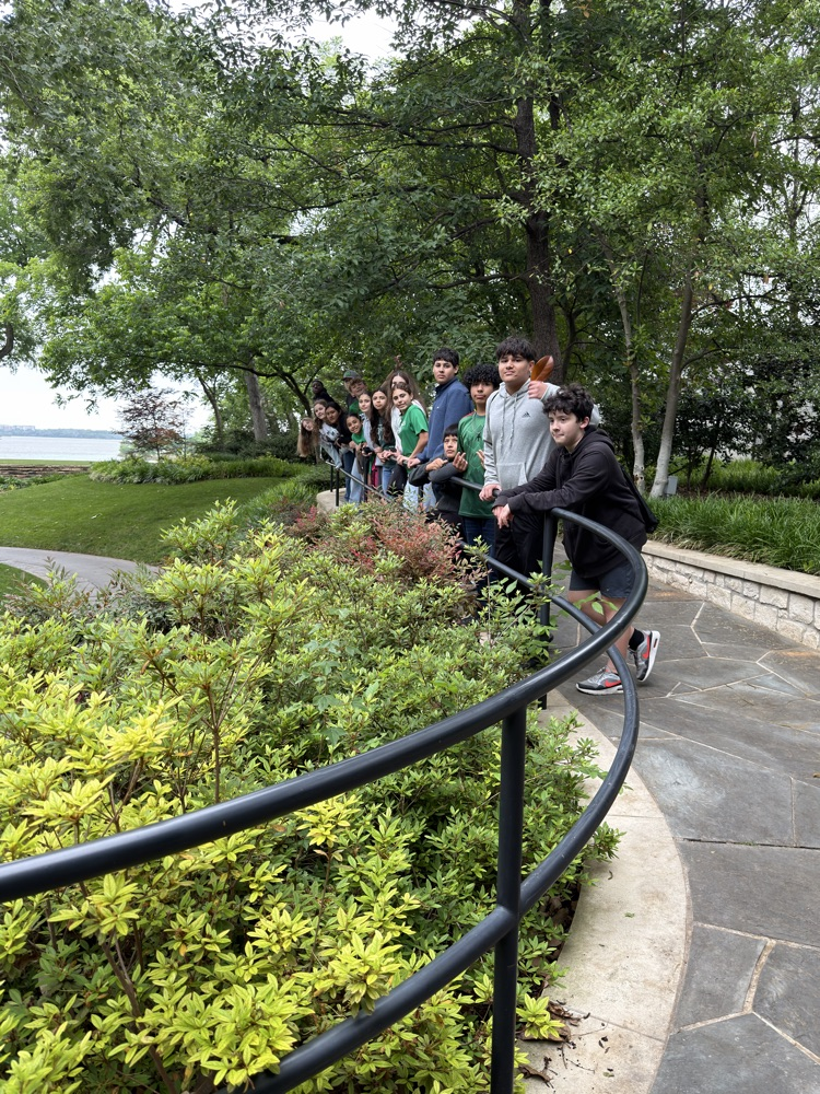 a row of learners