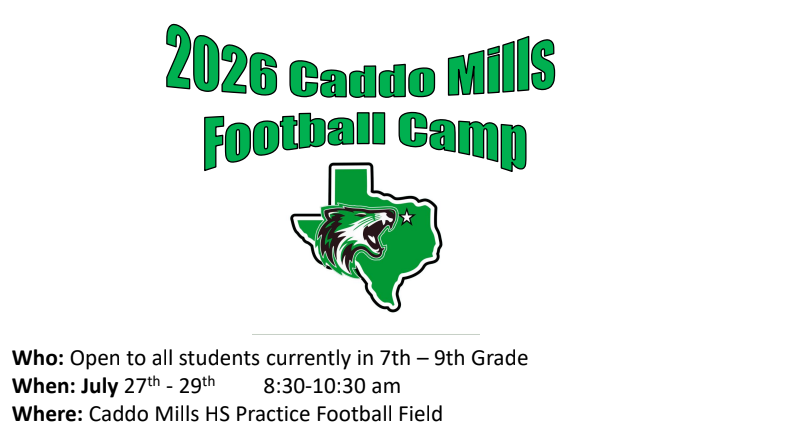 MS Flyer 1